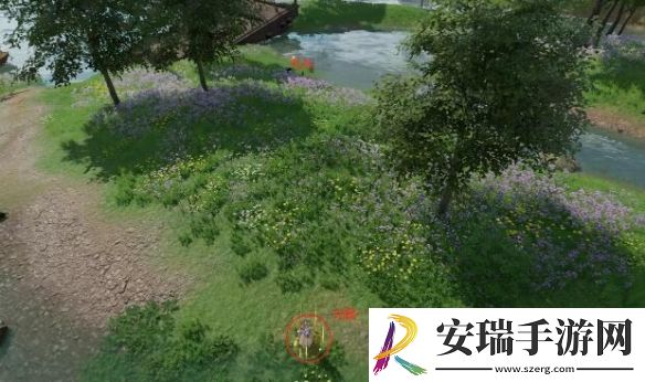 剑网3寓天涯宠物奇遇怎么做