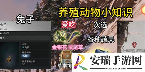 七日世界动物怎么抓捕
