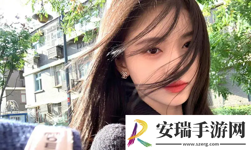 韩国理论大全爆红络