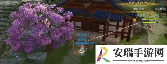 剑网3夜哀鸣宠物奇遇怎么做