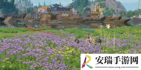 剑网3寓天涯宠物奇遇怎么做