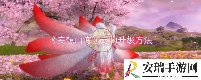 妄想山海宠物怎么升级