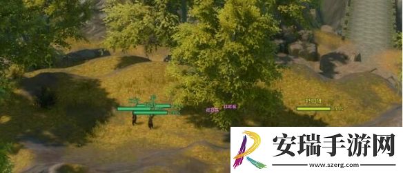剑网3义千金宠物奇遇怎么做