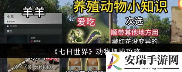 七日世界动物怎么抓捕