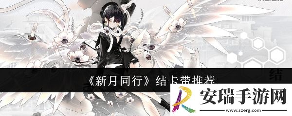 新月同行结卡带怎么选