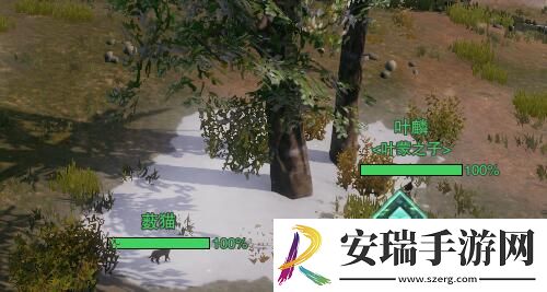 剑网3莫贪杯宠物奇遇怎么做