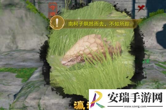 剑网3瀛洲梦宠物奇遇怎么做