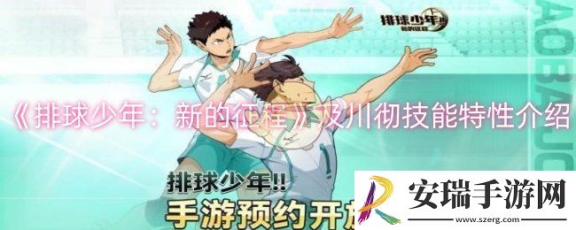 排球少年