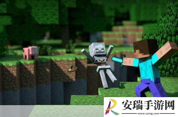 我的世界