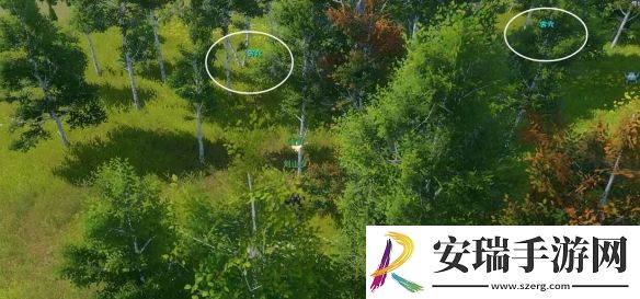 剑网3念旧林宠物奇遇怎么做