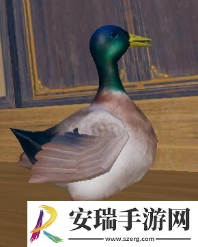 剑网3滴水恩宠物奇遇怎么做