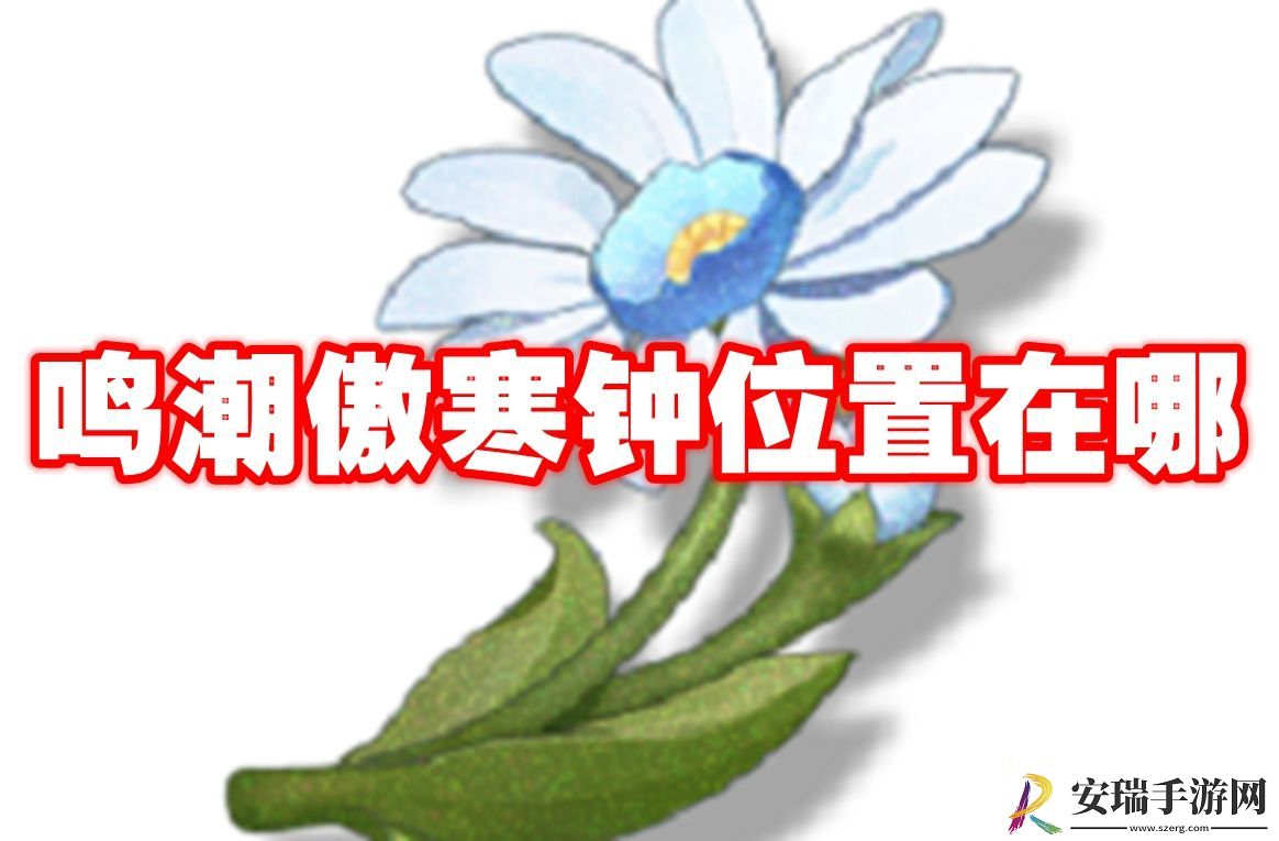 鸣潮傲寒钟采集位置