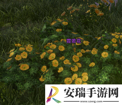 剑网3红尘不渡奇遇怎么做