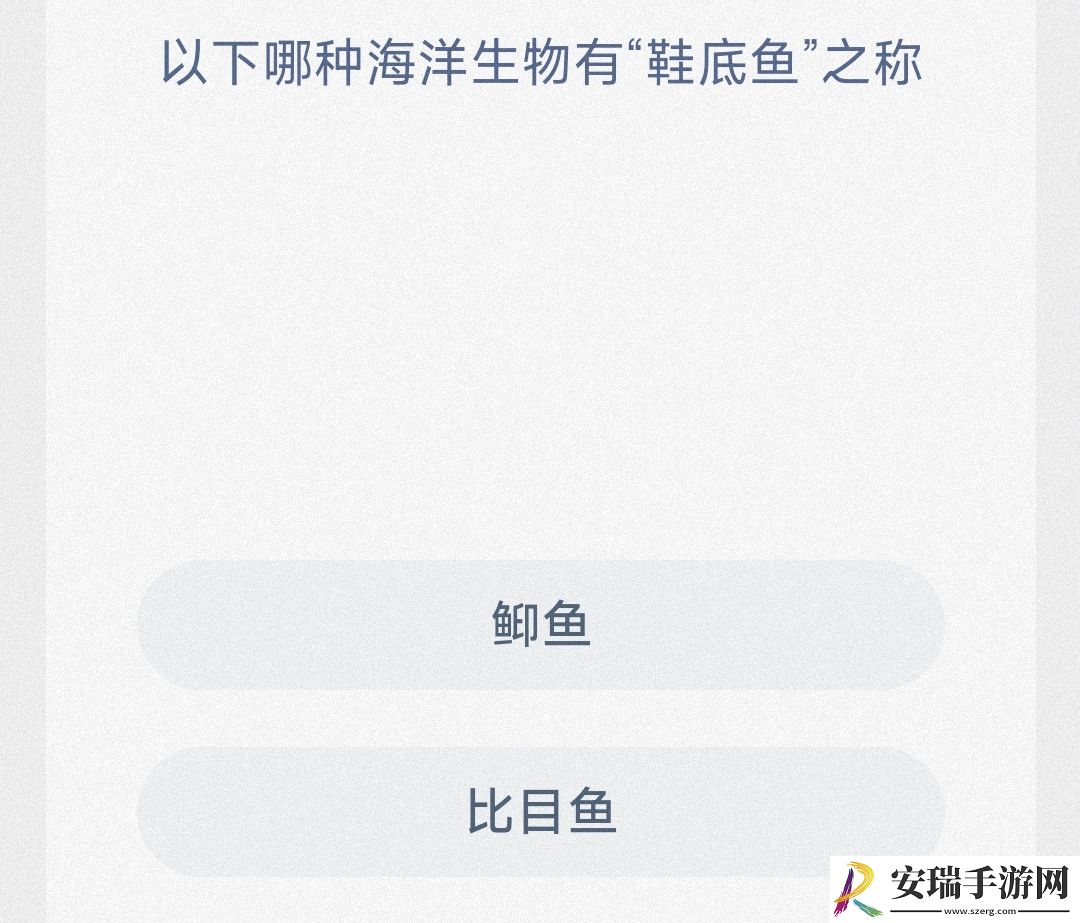 以下哪种海洋生物有鞋底鱼之称