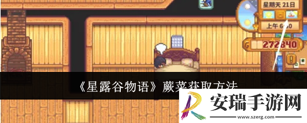 星露谷物语蕨菜怎么获取