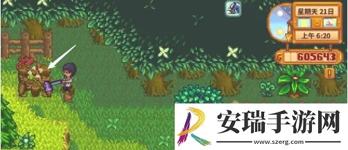星露谷物语蕨菜怎么获取
