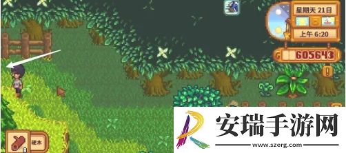 星露谷物语蕨菜怎么获取