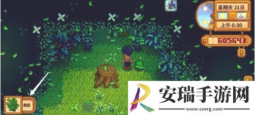 星露谷物语蕨菜怎么获取