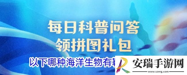 以下哪种海洋生物有鞋底鱼之称