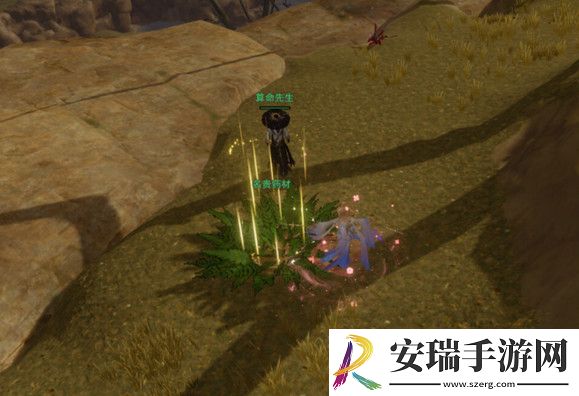 剑网3茸茸怎么获得