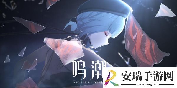 鸣潮公测自选声骸推荐