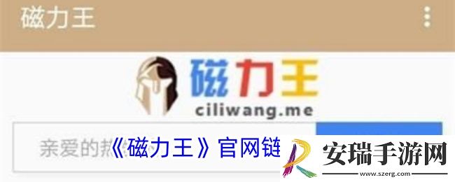 磁力王官网链接入口