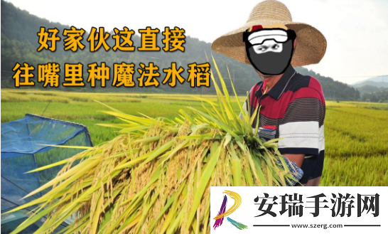 往嘴里种水稻是什么梗网络用语