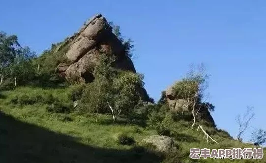 仙境传说RO