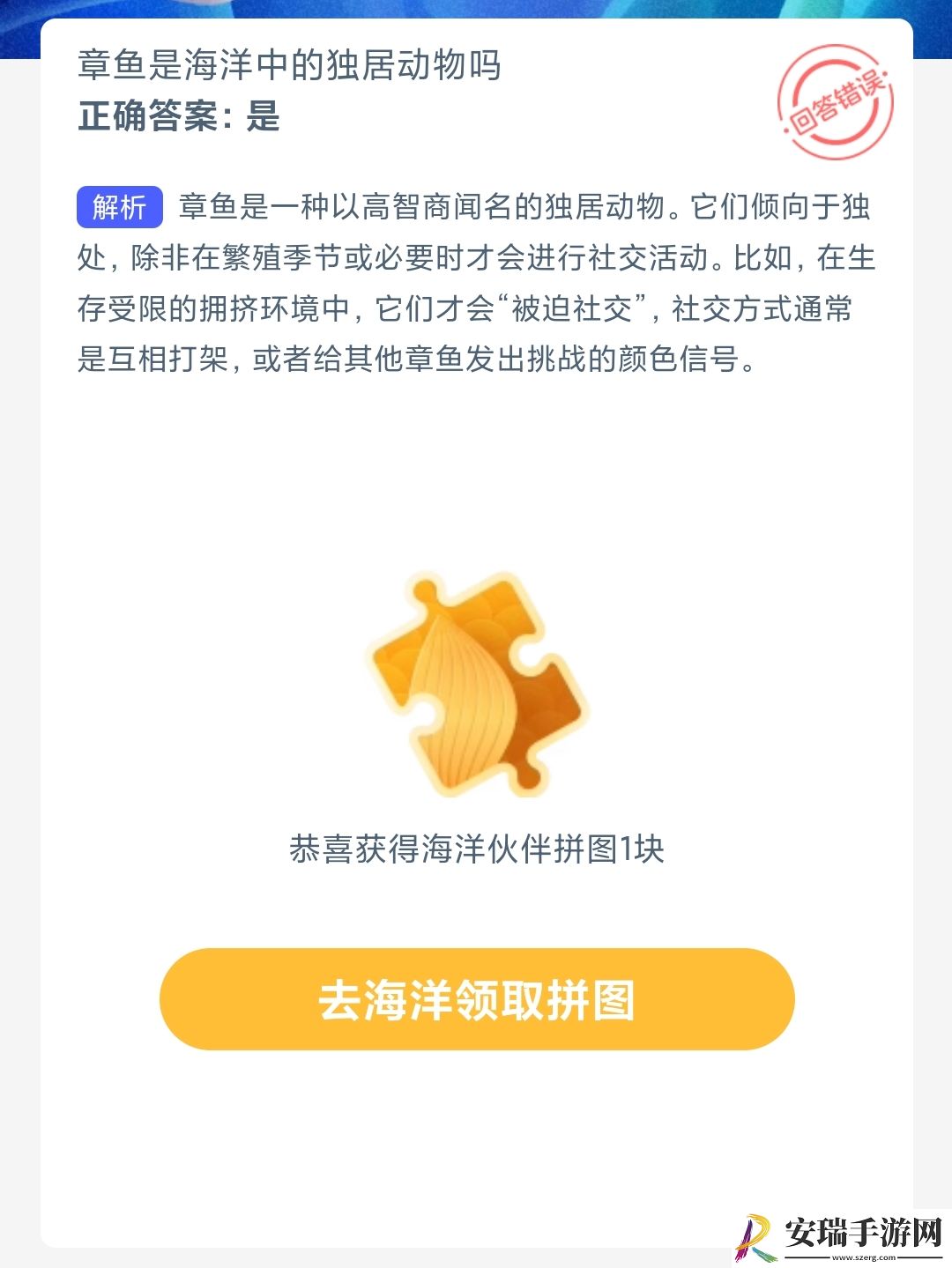 章鱼是海洋中的独居动物吗