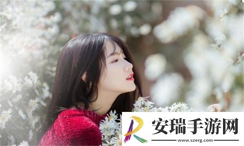 高清windows免费版站