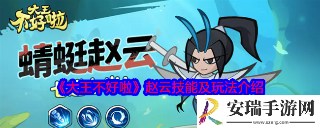 大王不好啦赵云怎么样