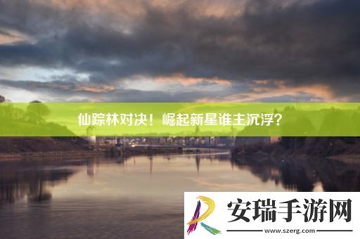 仙踪林对决！崛起新星谁主沉浮