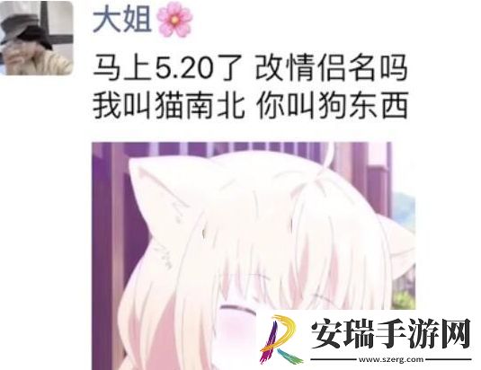猫南北狗东西是什么梗网络用语