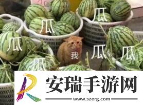 一瓜未平一瓜又起是什么梗网络用语