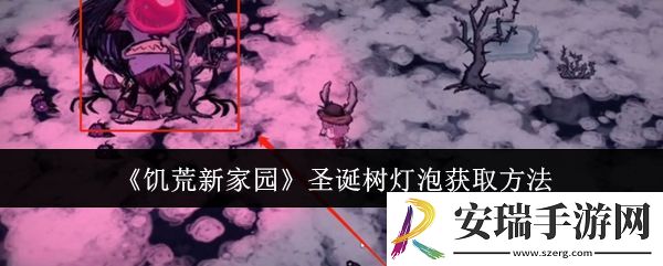 饥荒新家园圣诞树灯泡在哪里