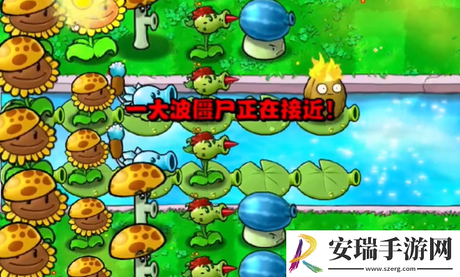 植物大战僵尸杂交版冒险模式第十二关怎么过