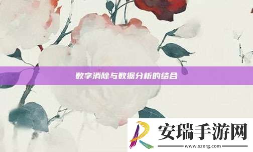 数字消除与数据分析的结合