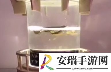 刑部侍螂是什么梗网络用语