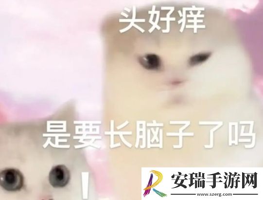 头有点痒可能在长脑子是什么梗网络用语