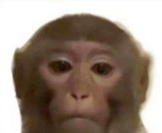我只有猴当是什么梗网络用语