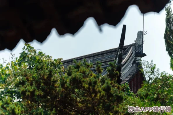 青云志手游全面探索