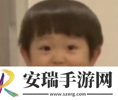 打直球式恋爱是什么梗网络用语