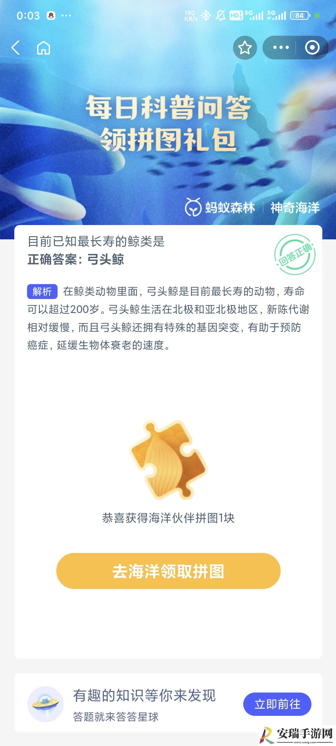 目前已知最长寿的鲸类是