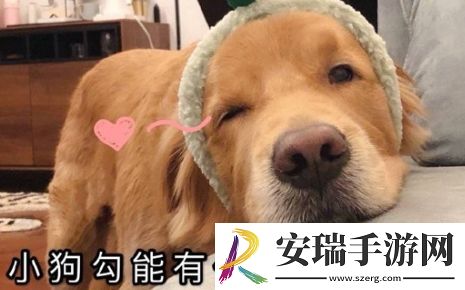 狗勾能有什么坏心思呢是什么梗网络用语