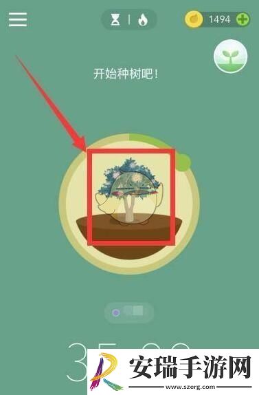 forest专注森林怎么种树