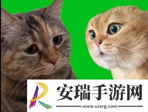猫猫对话是什么梗网络用语