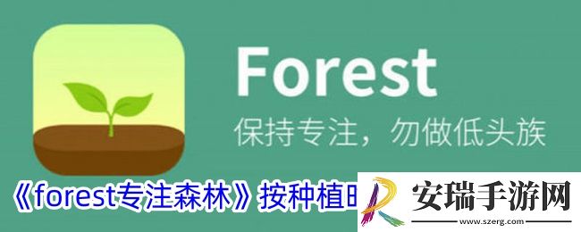 forest专注森林怎么按种植时间排序