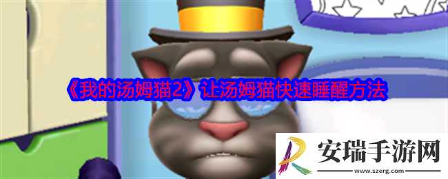 我的汤姆猫2怎么让汤姆猫快速睡醒