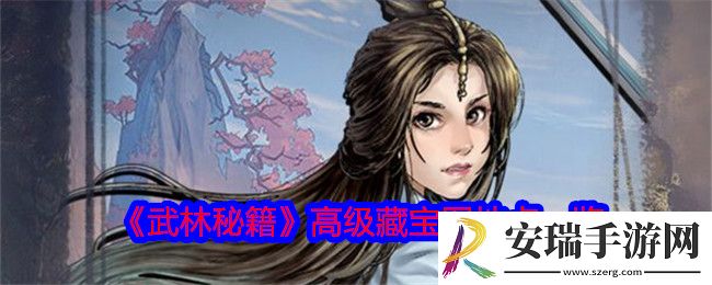 武林秘籍高级藏宝图在哪