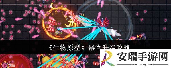 生物原型器官怎么升级